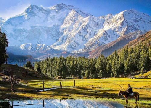 5 Days Tour to Fairy Meadows