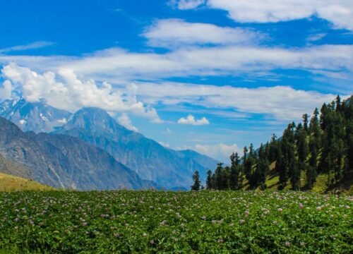 8 Days Tour to Skardu, Hunza, Naltar & Basho Valley
